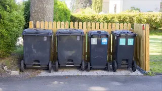 Bilden visar fem avfallskärl som står i en kärlhage av staket.