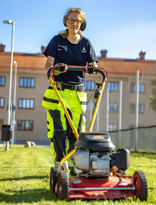 Elever på programmet för Fastighet, anläggning och byggnation återvinner julgranar